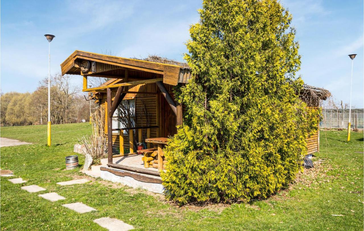 Amazing Home In Wilczeta With Kitchenette Εξωτερικό φωτογραφία